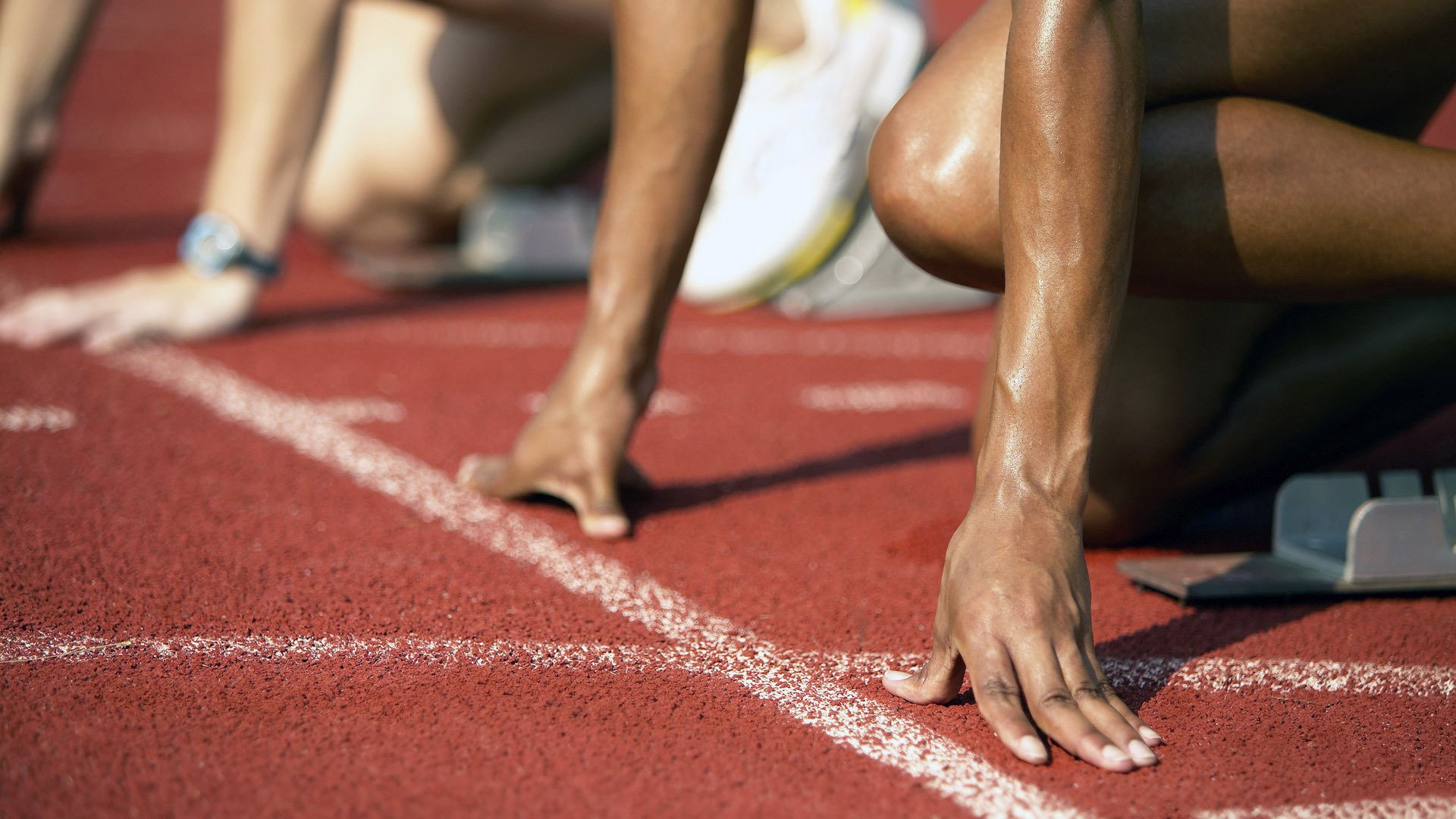 体育新闻中心启动体育内容原创保护专项行动，体育新闻专题报道